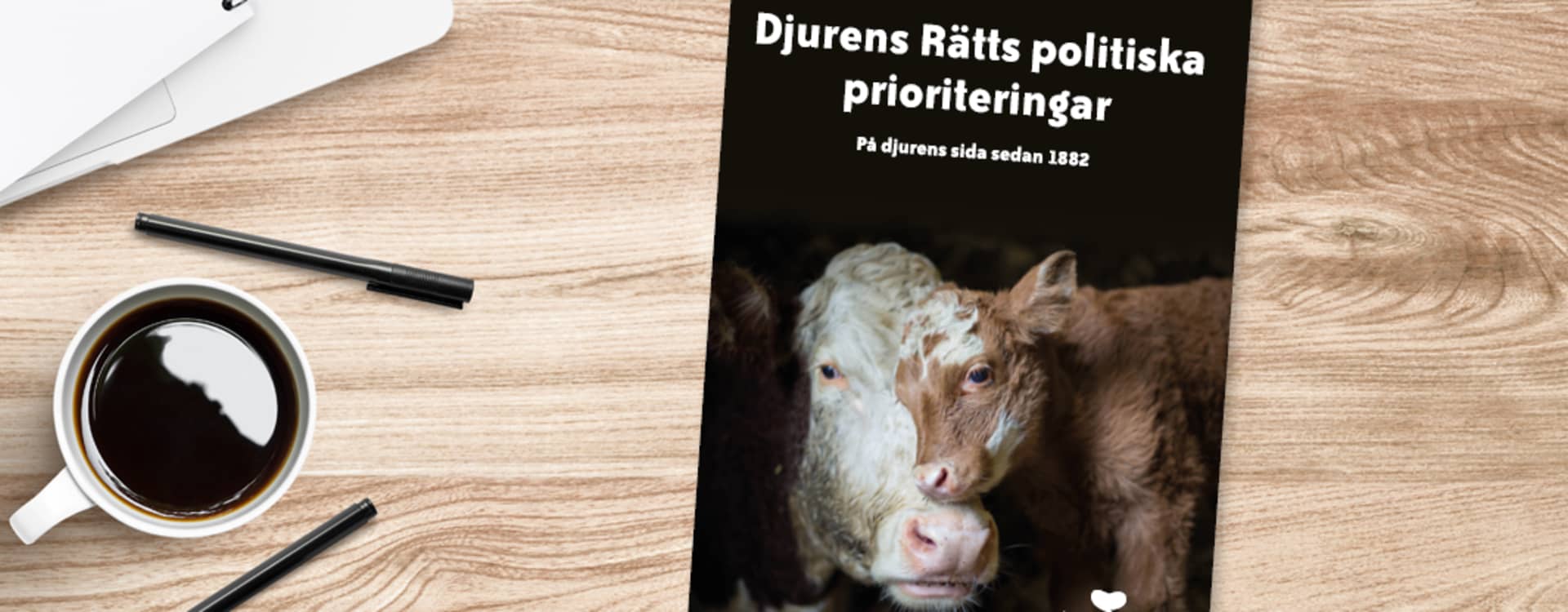 Djurens Rätts politiska prioriteringar