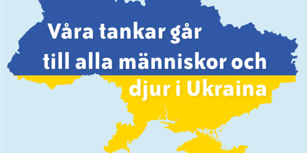 Situationen i Ukraina