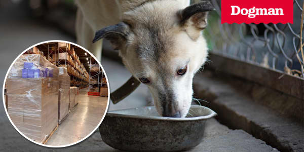 Dogman donerar djurfoder till Ukraina