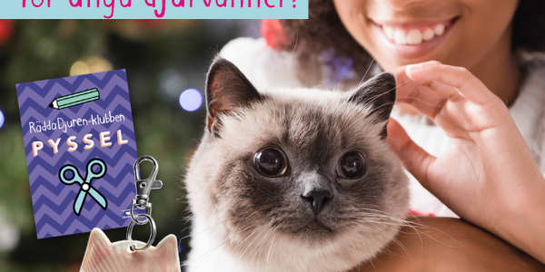 Julkalender, pyssel & Rita för grisarna