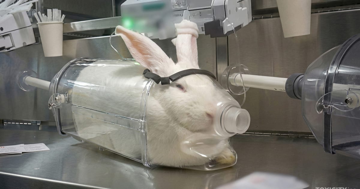 Roadmap that could affect millions of animals used in experiments ...