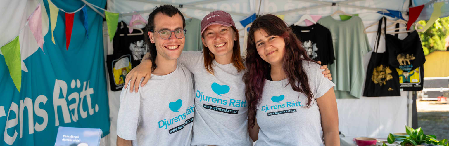 Djurens Rätts volontärer på plats i Almedalen 2026.