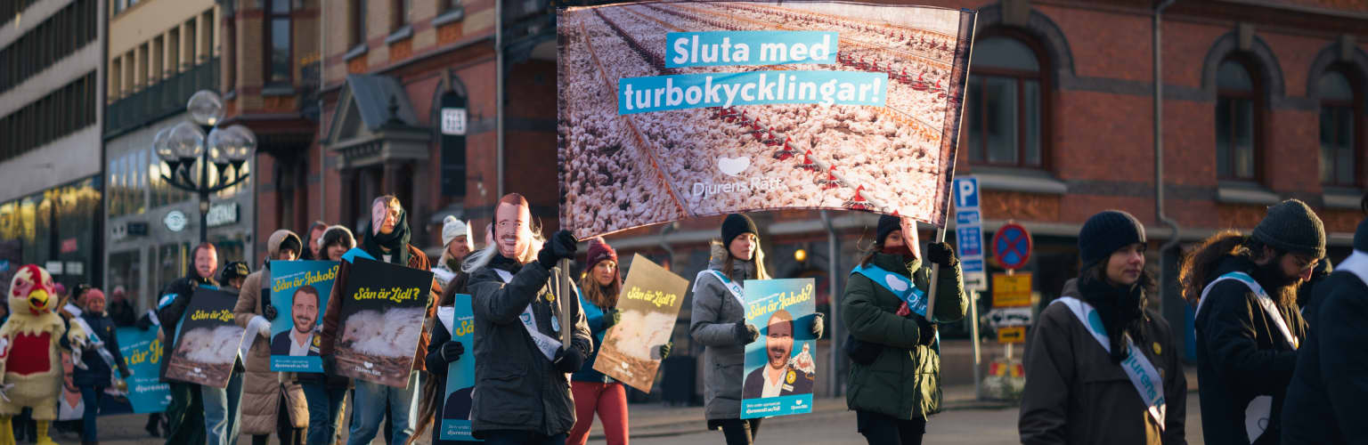 Protest mot Lidl i Göteborg 15 februari 2025