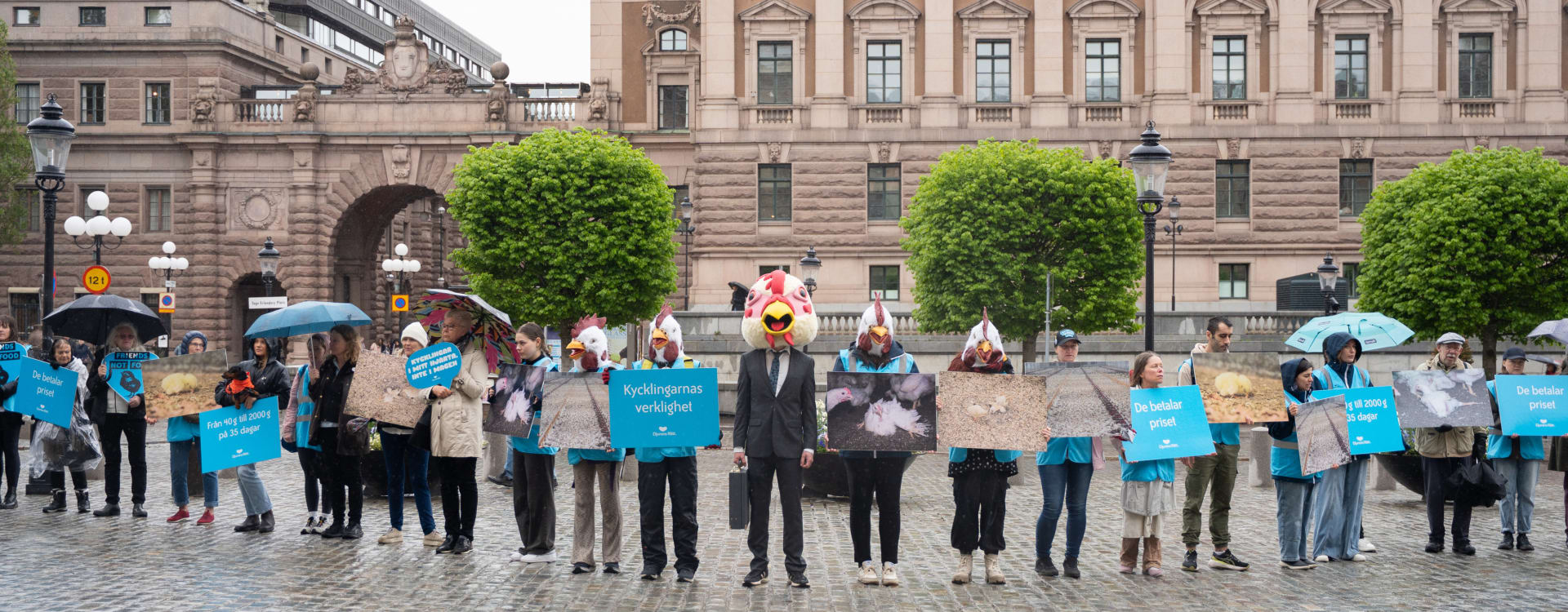 65,000 signatures delivered to Swedish parliament calling for ban on Frankenchickens