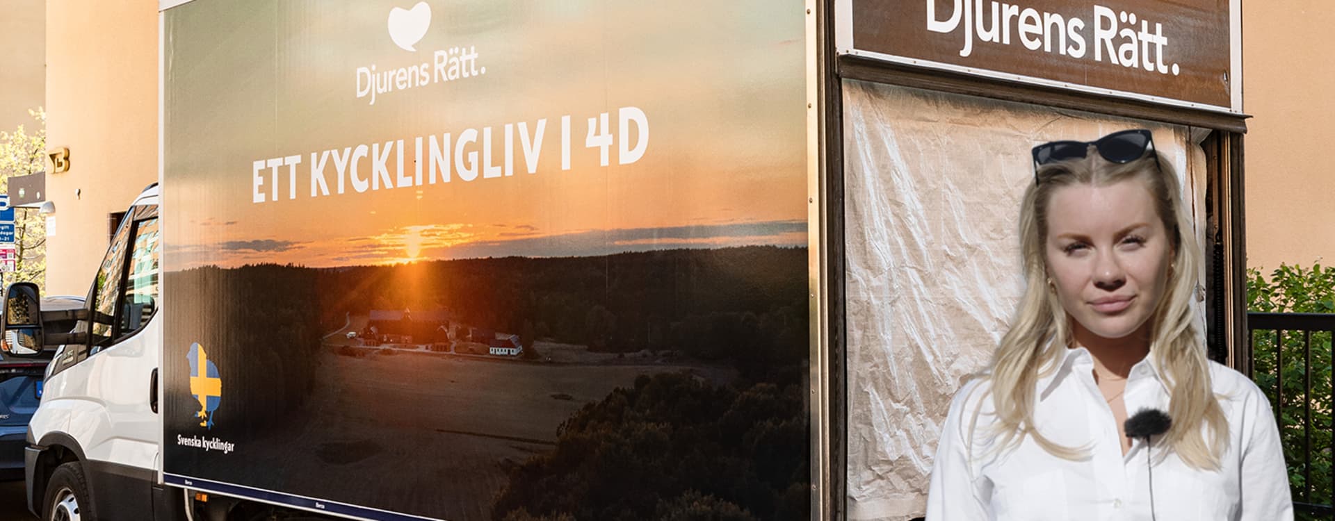 Djurens Rätt ger sig ut i Sverige med konceptet “Ett kycklingliv i 4D”