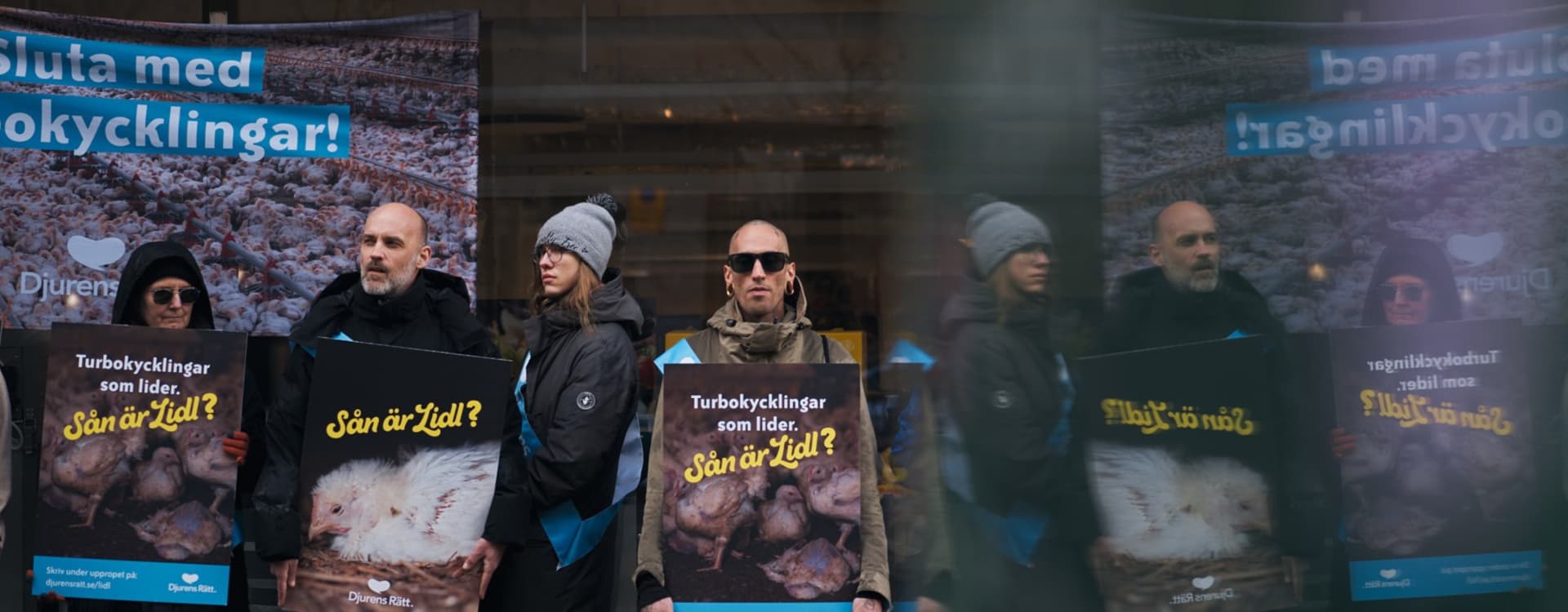 Lidl Tyskland slopar turbokycklingar – varför följer inte Lidl Sverige efter?