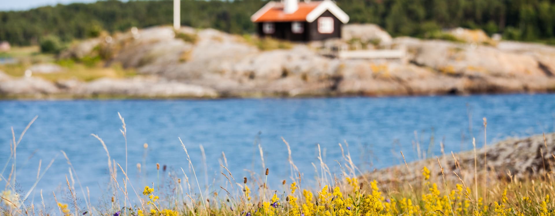Ett år efter Djurens Rätts semesterguide: vad har hänt?  