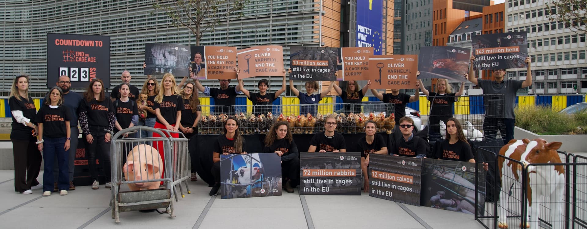 Project 1882 and 280 researchers, experts, and organizations call for a cage ban