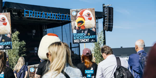 Djurens Rätt lyfte djurfrågorna under Frihamnsdagarna