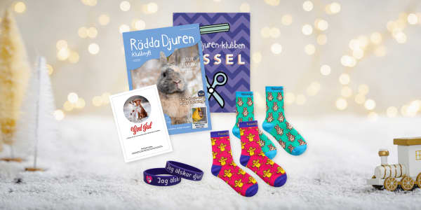 Julklapp till barn