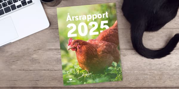 Bild på Djurens Rätts årsrapport 2025