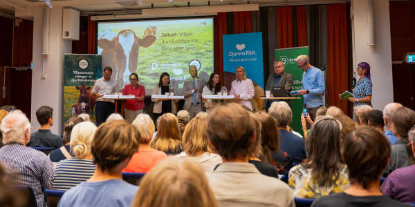 Valårets stora djurpolitiska debatt på ABF Stockholm den 26 augusti 2026.