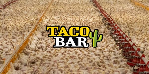 Taco Bar, låt kycklingarna komma ut!