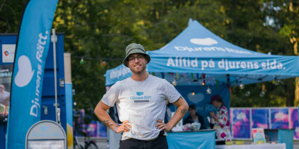 Djurens Rätts sommarturné firar 20 år