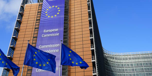 Project 1882 urges the EU to stand up for animals