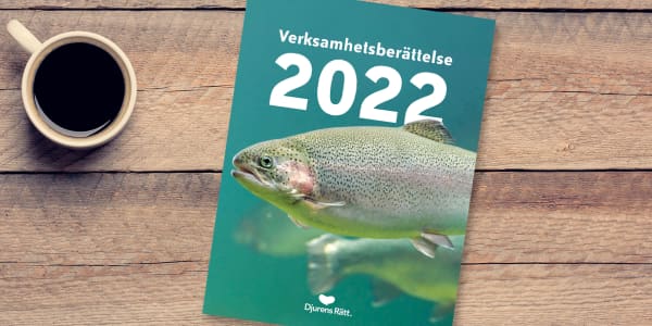 Djurens Rätts verksamhetsberättelse för 2022