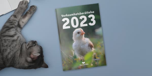 Djurens Rätts verksamhetsberättelse för 2023