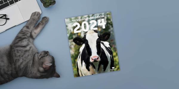 Djurens Rätts verksamhetsberättelse för 2024