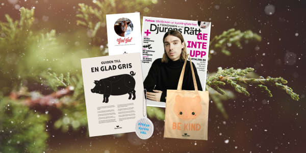 Ge bort medlemskap
