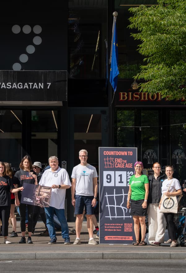 Manifestation i Stockholm: ”Fem år av brutna löften om burarna”