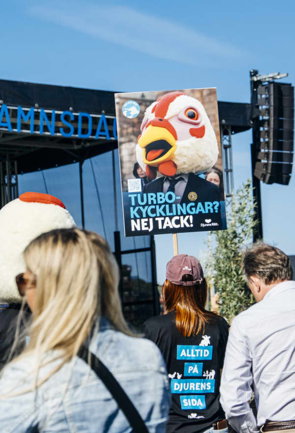 Djurens Rätt lyfte djurfrågorna under Frihamnsdagarna  