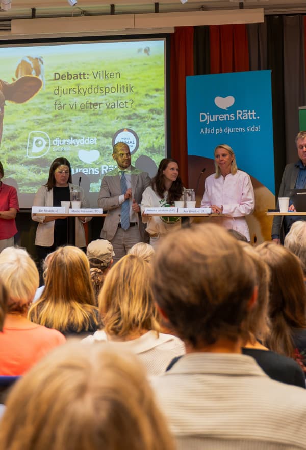 Valårets stora djurpolitiska debatt på ABF Stockholm den 26 augusti 2026.