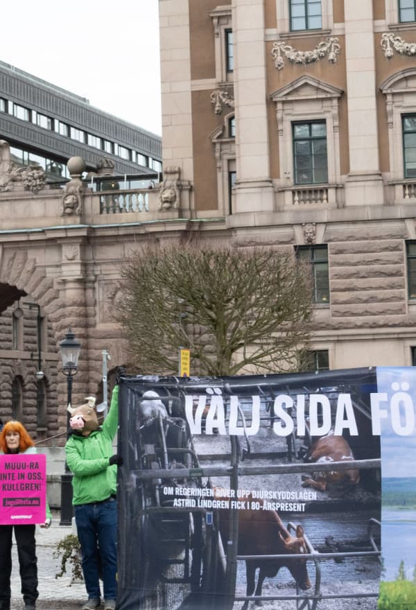 Manifestation för kornas betesrätt 26 mars 2025.