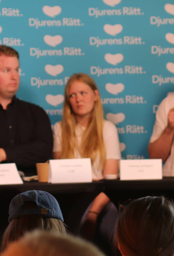 Halvvägs i mandatperioden: Politiken om ungdomsförbunden fick bestämma