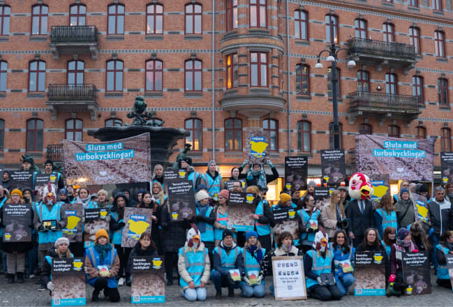 Bild från när Djurens Rätt anordnade en protest på Järntorget i Göteborg för att uppmärksamma lidandet i den svenska kycklingindustrin.