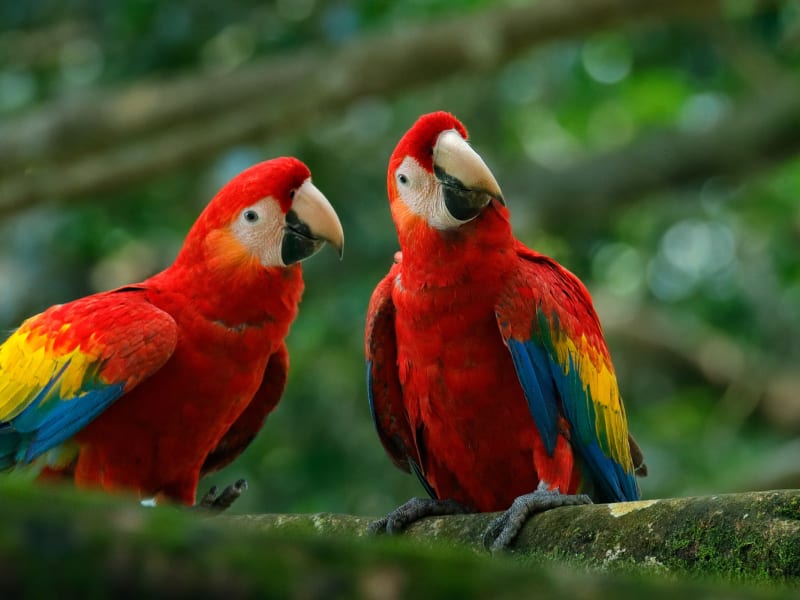 © Shutterstock