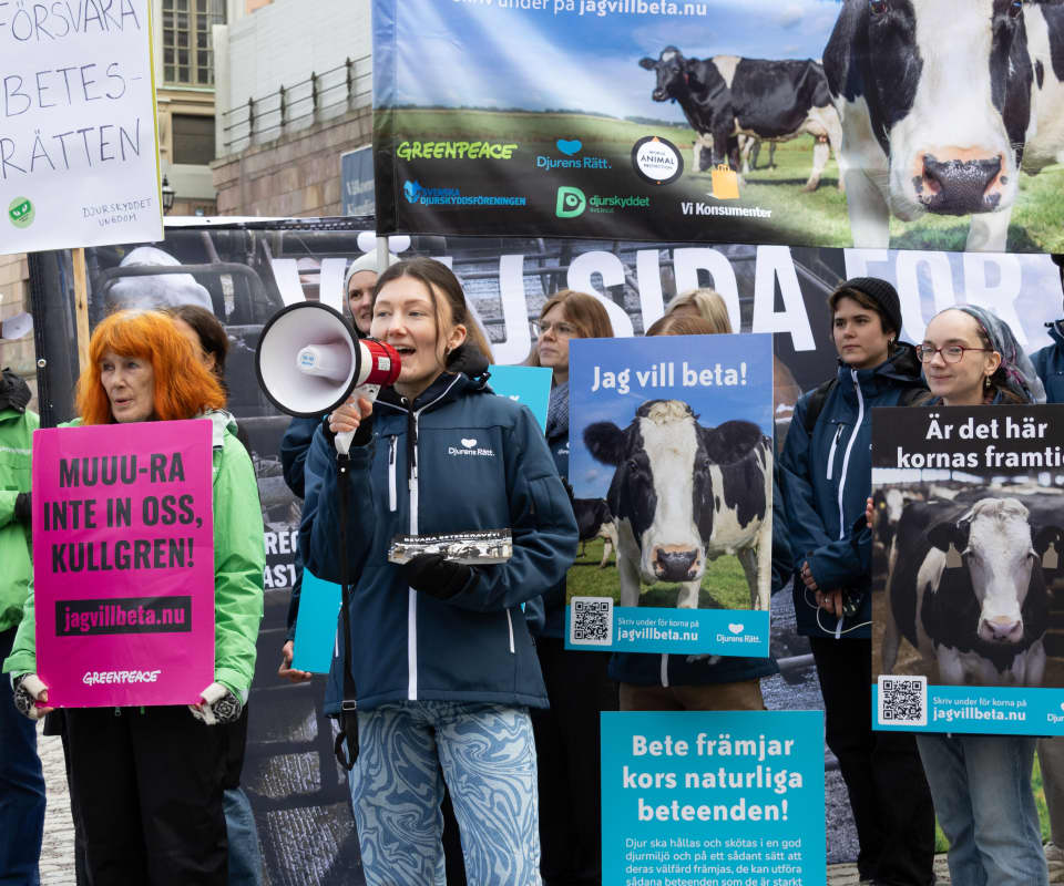 Foto: Alma Herrström