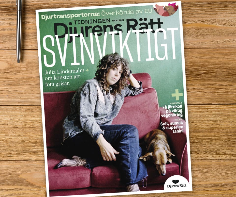 Tidningen Djurens Rätt