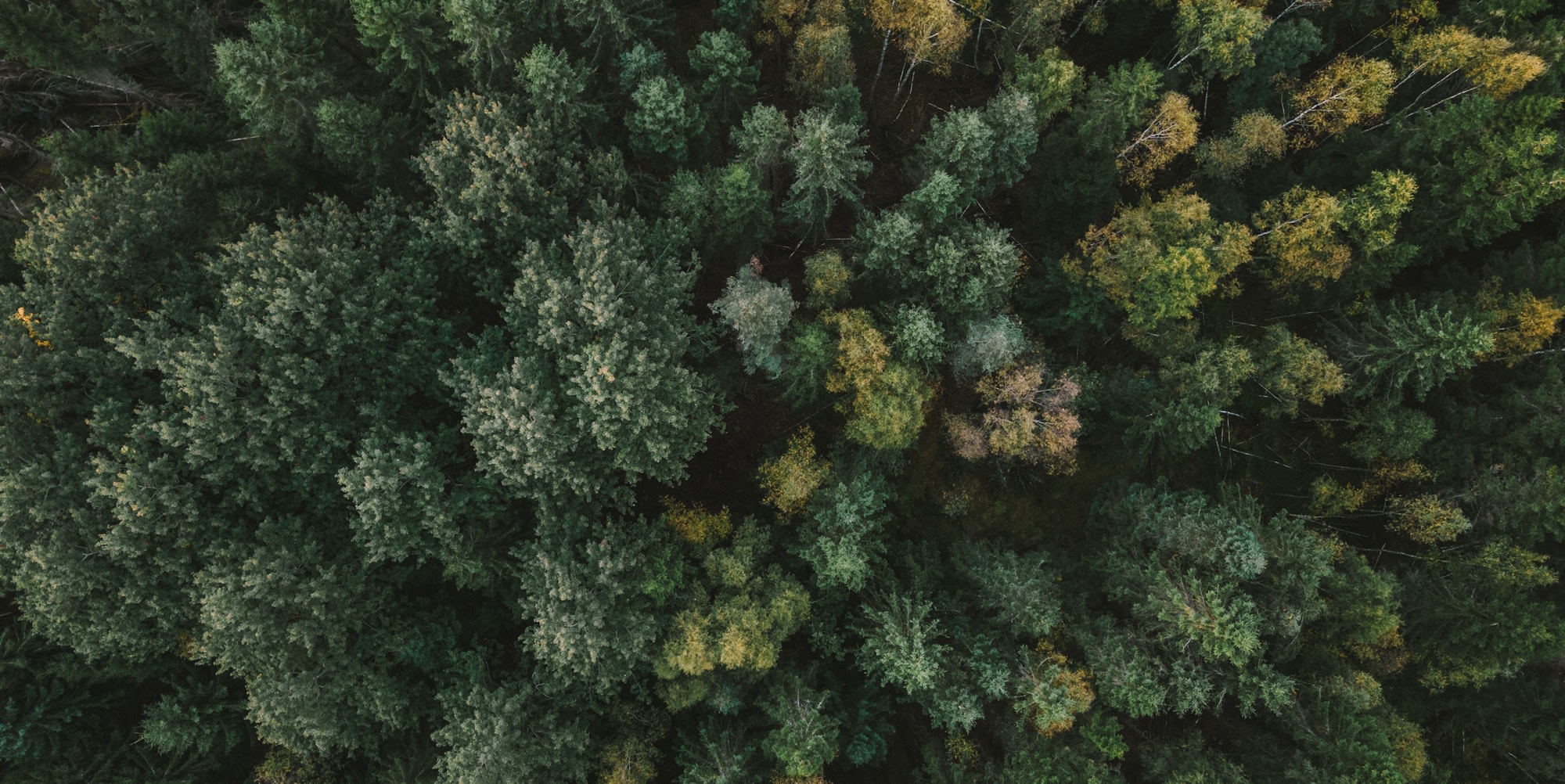 Image for projekt - order 2