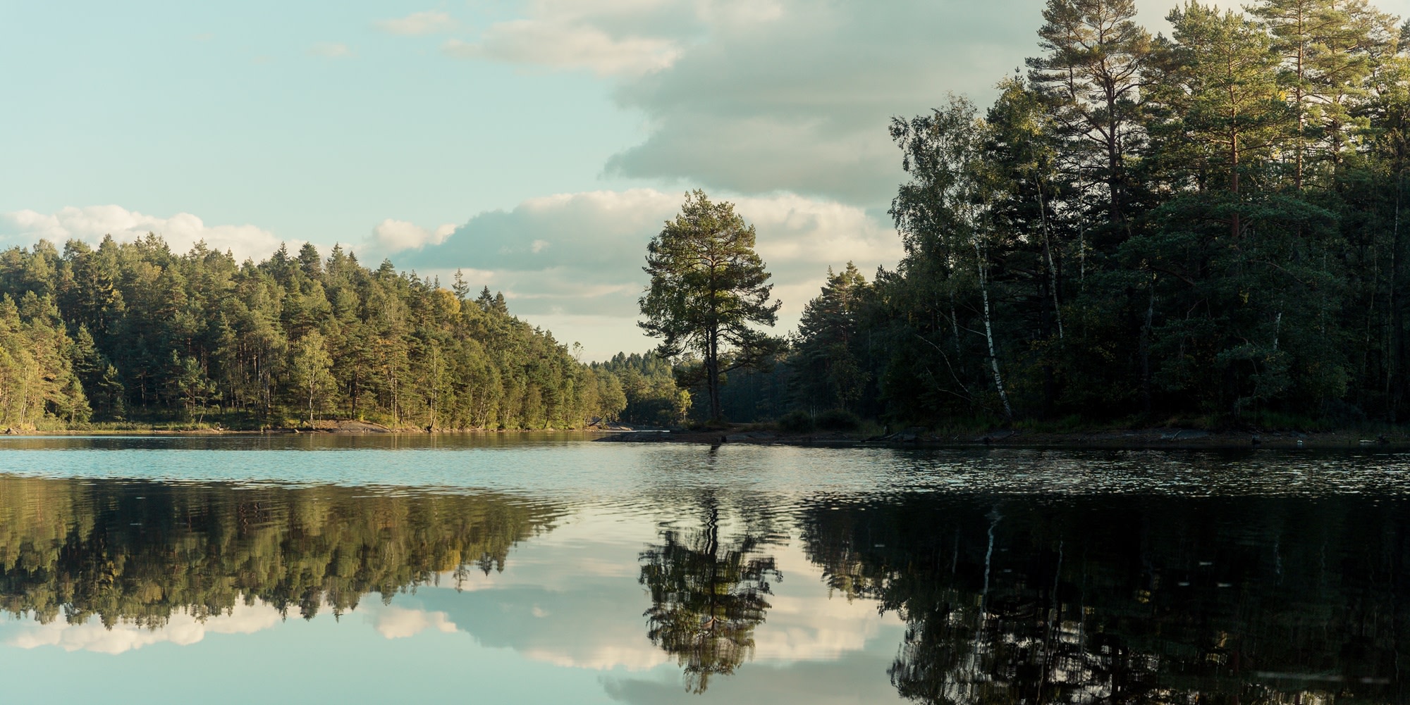 Image for projekt - order 0