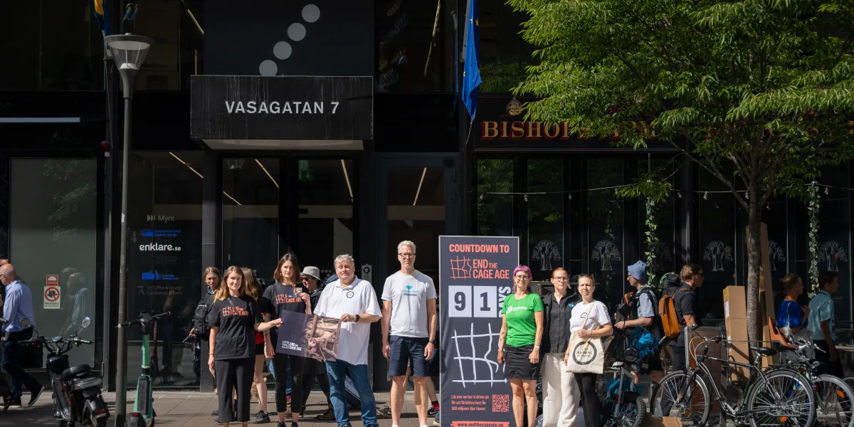 Manifestation i Stockholm: ”Fem år av brutna löften om burarna”