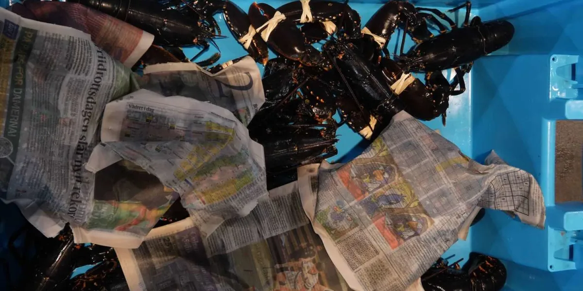 Foto: Tobias Dahlin/Deep Sea Reporter