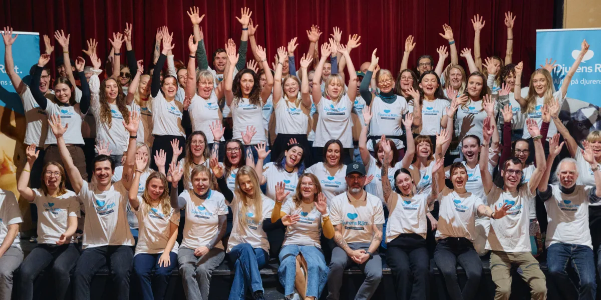 Rikskonferensen 2026. Foto: Tim Kristensson