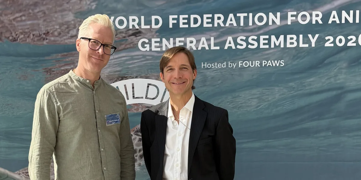 Djurens Rätt deltog i World Federation for Animals generalförsamling