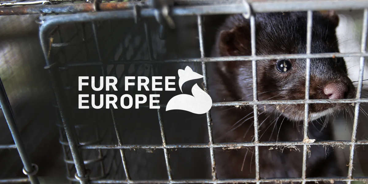 Fur Free Europe – för ett pälsfritt Europa