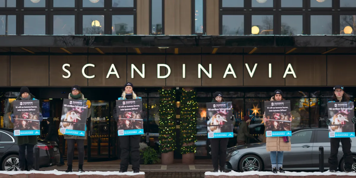 Protest mot Radisson i Göteborg.