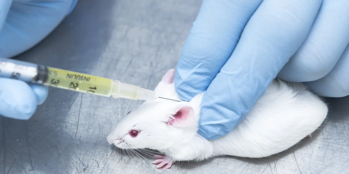 Severe animal welfare infringements in animal testing 
