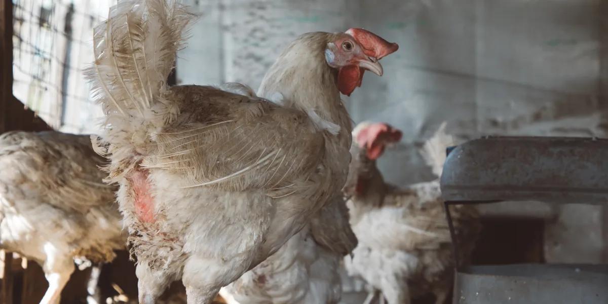 Bild från annat tillfälle. Foto: Shutterstock