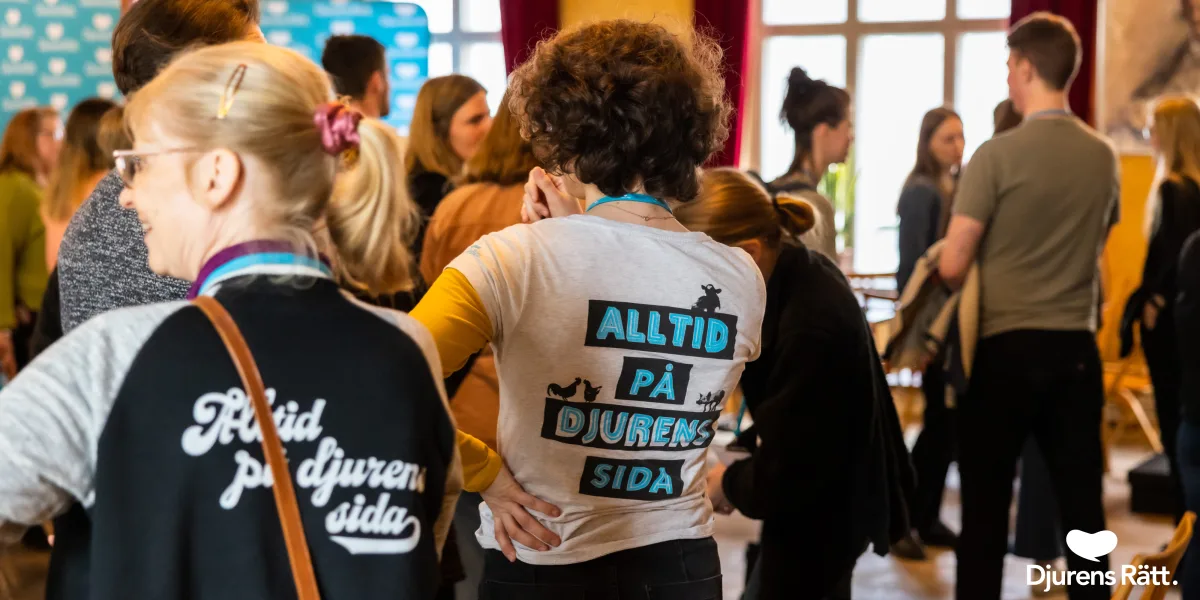 Quiz-turné: En framtid utan djurfabriker 