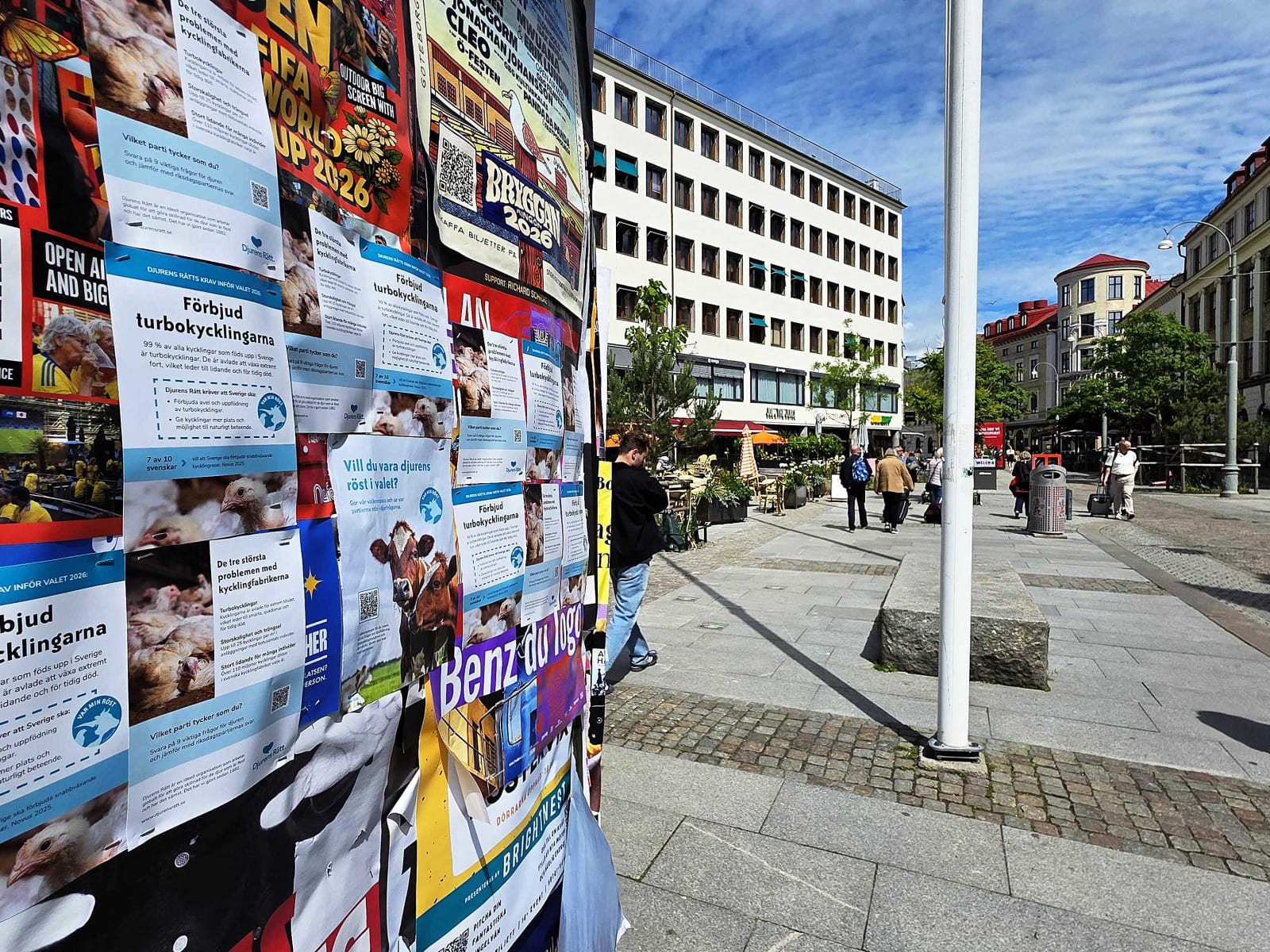 Flygblad som uppmanar till att förbjuda turbokycklingar och vara djurens röst i valet 2026, uppsatta på en anslagstavla