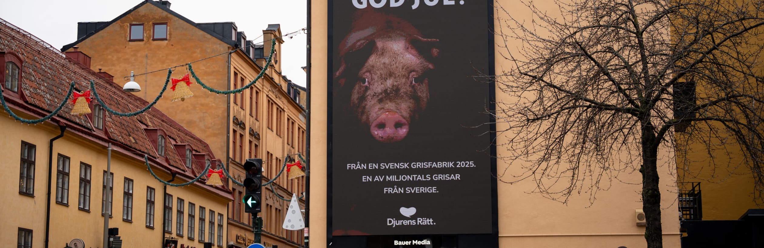 Bild på annons av grisar i tunnelbanan i Stockholm.