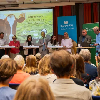 Valårets stora djurpolitiska debatt på ABF Stockholm den 26 augusti 2026.