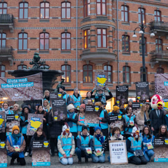 Bild från när Djurens Rätt anordnade en protest på Järntorget i Göteborg för att uppmärksamma lidandet i den svenska kycklingindustrin.