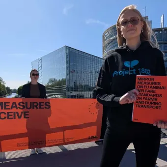 Tina Hogevik i Strasbourg 29 april 2026.