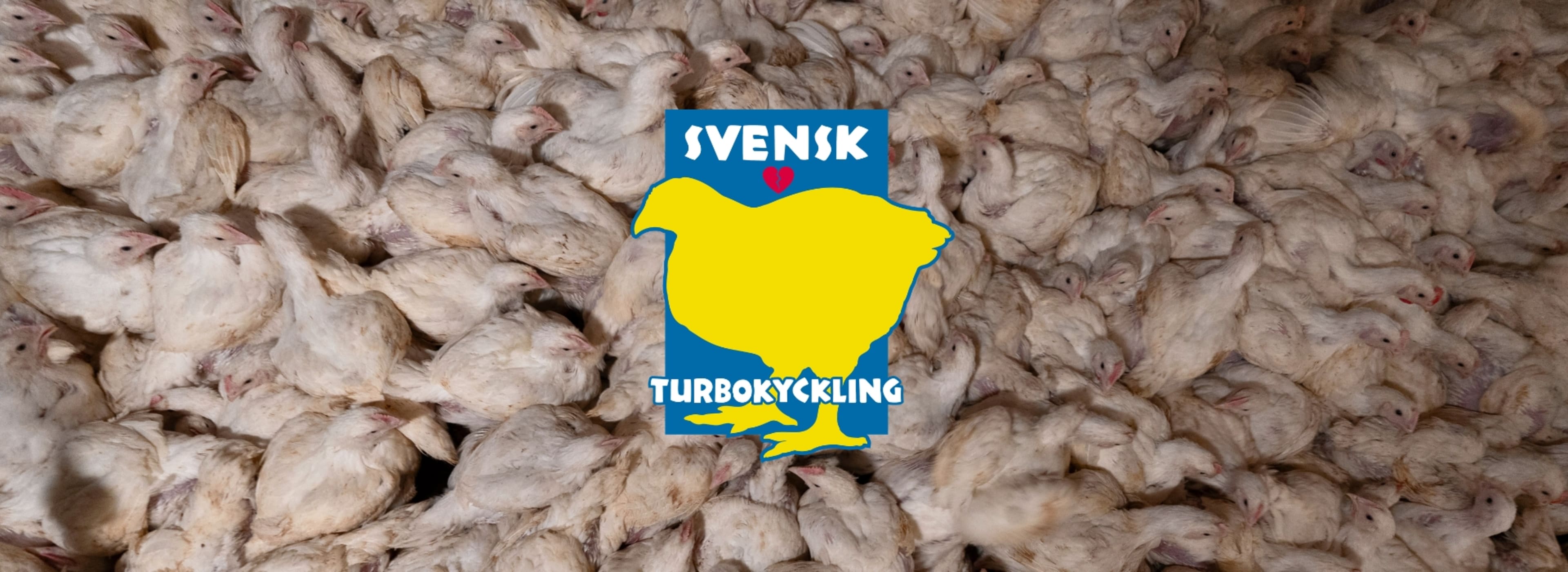 Svensk Fågel