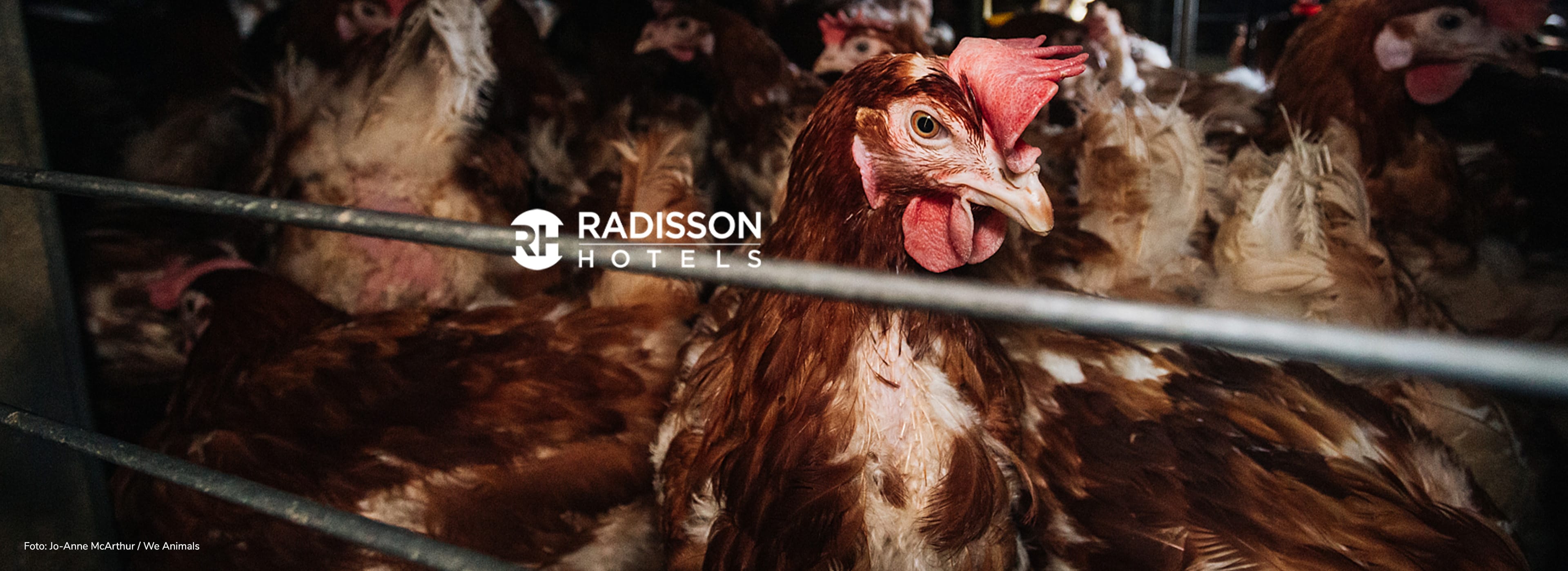 Radisson – tomma burar, inte tomma löften!